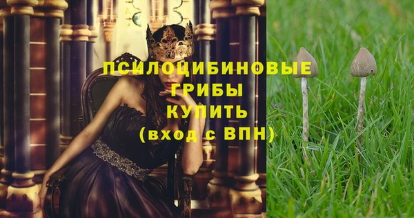 сатива Нефтегорск