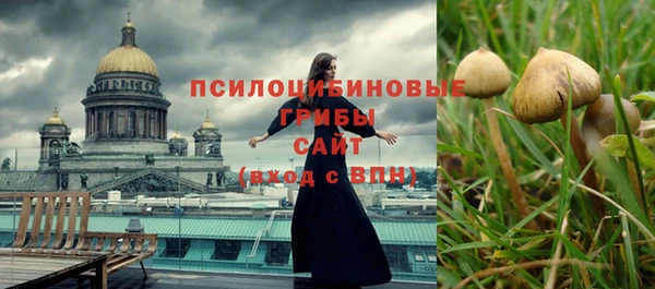 бошки Алзамай