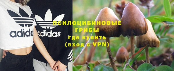 apvp Алексеевка