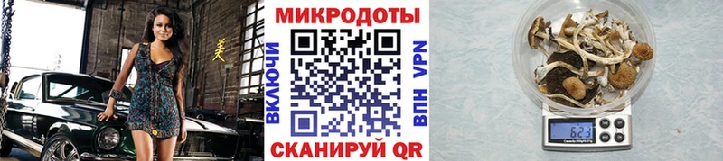 Псилоцибиновые грибы Magic Shrooms купить наркоту Щигры
