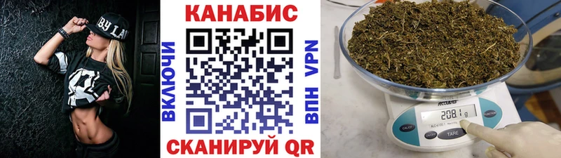 Бошки Шишки планчик  купить наркотики сайты  Щигры 